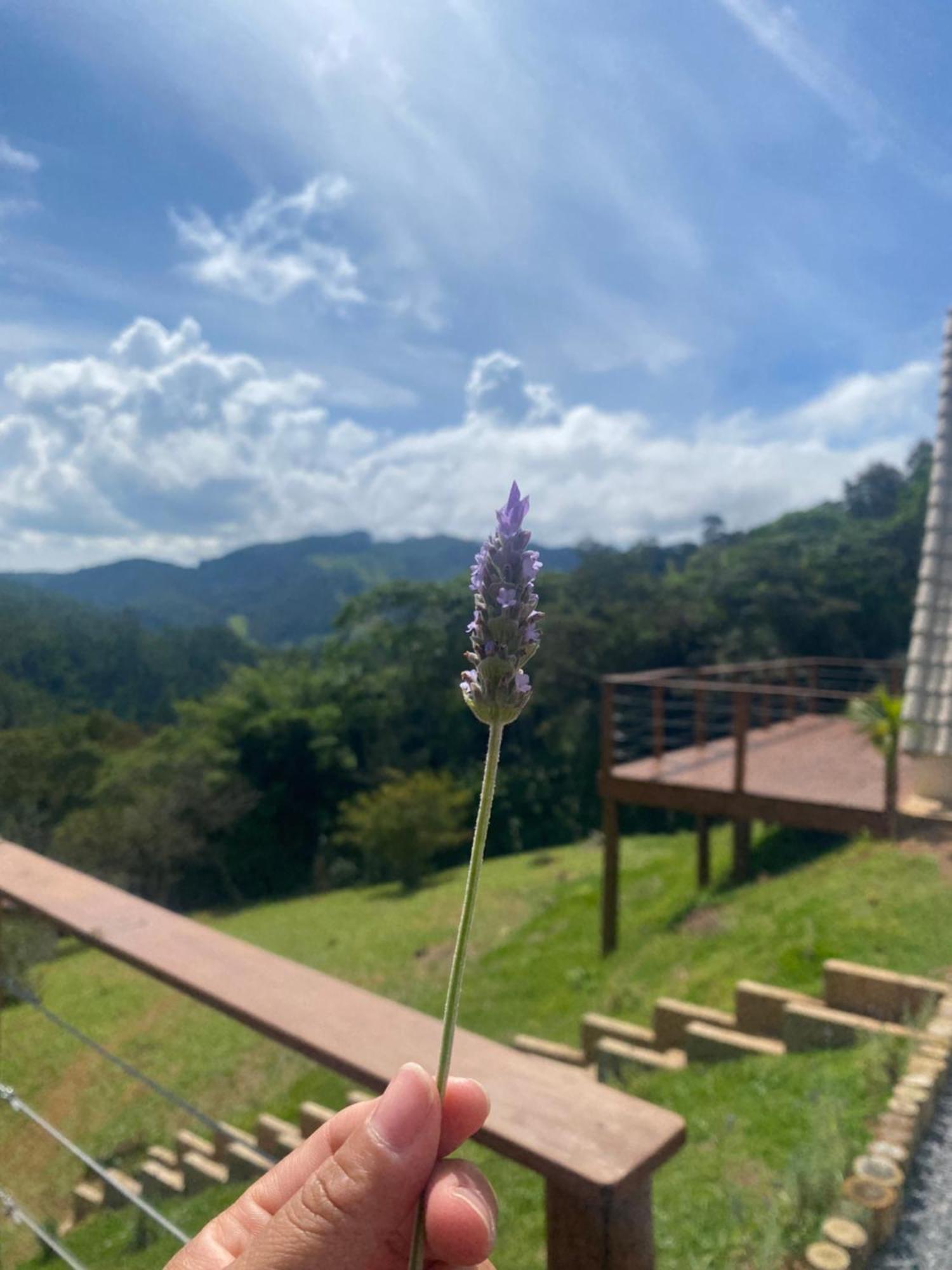 Chales Fazenda Floresta Das Araucarias Cunha Exteriér fotografie