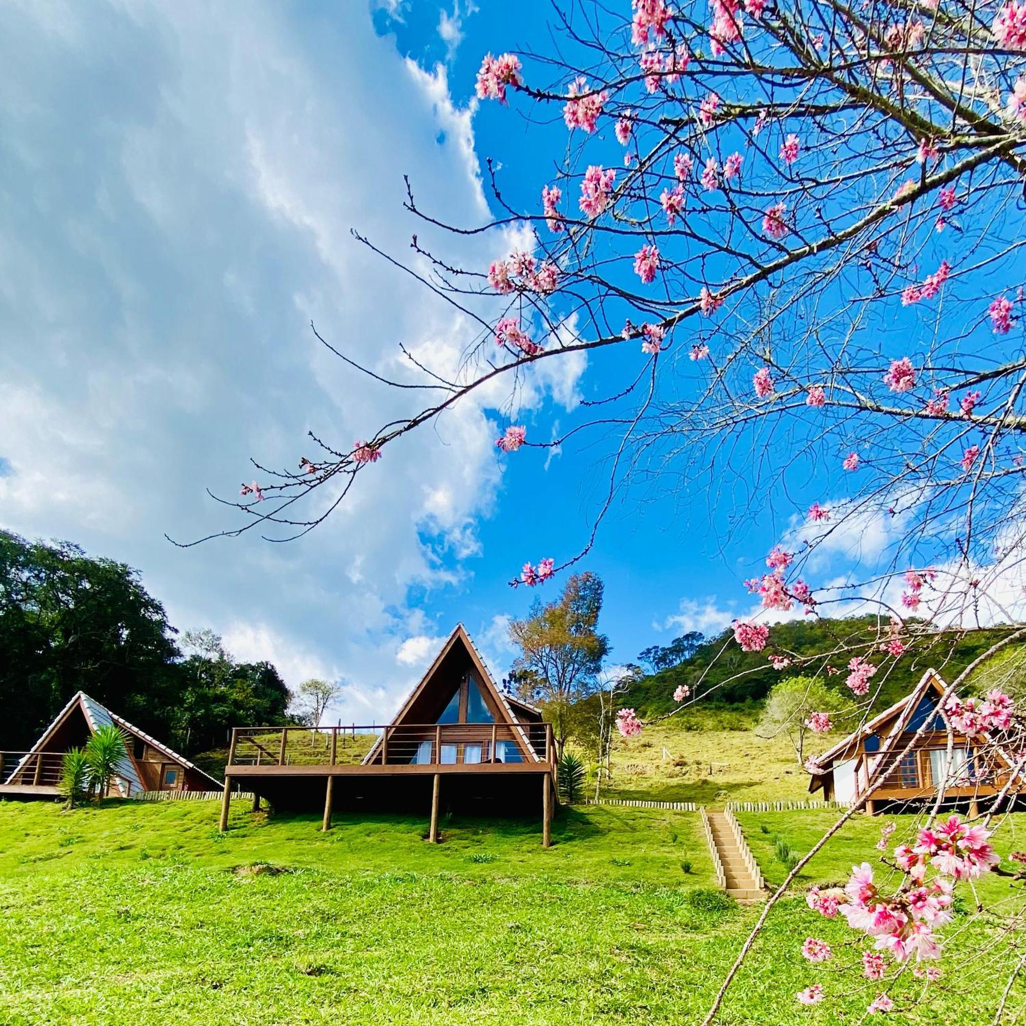 Chales Fazenda Floresta Das Araucarias Cunha Exteriér fotografie