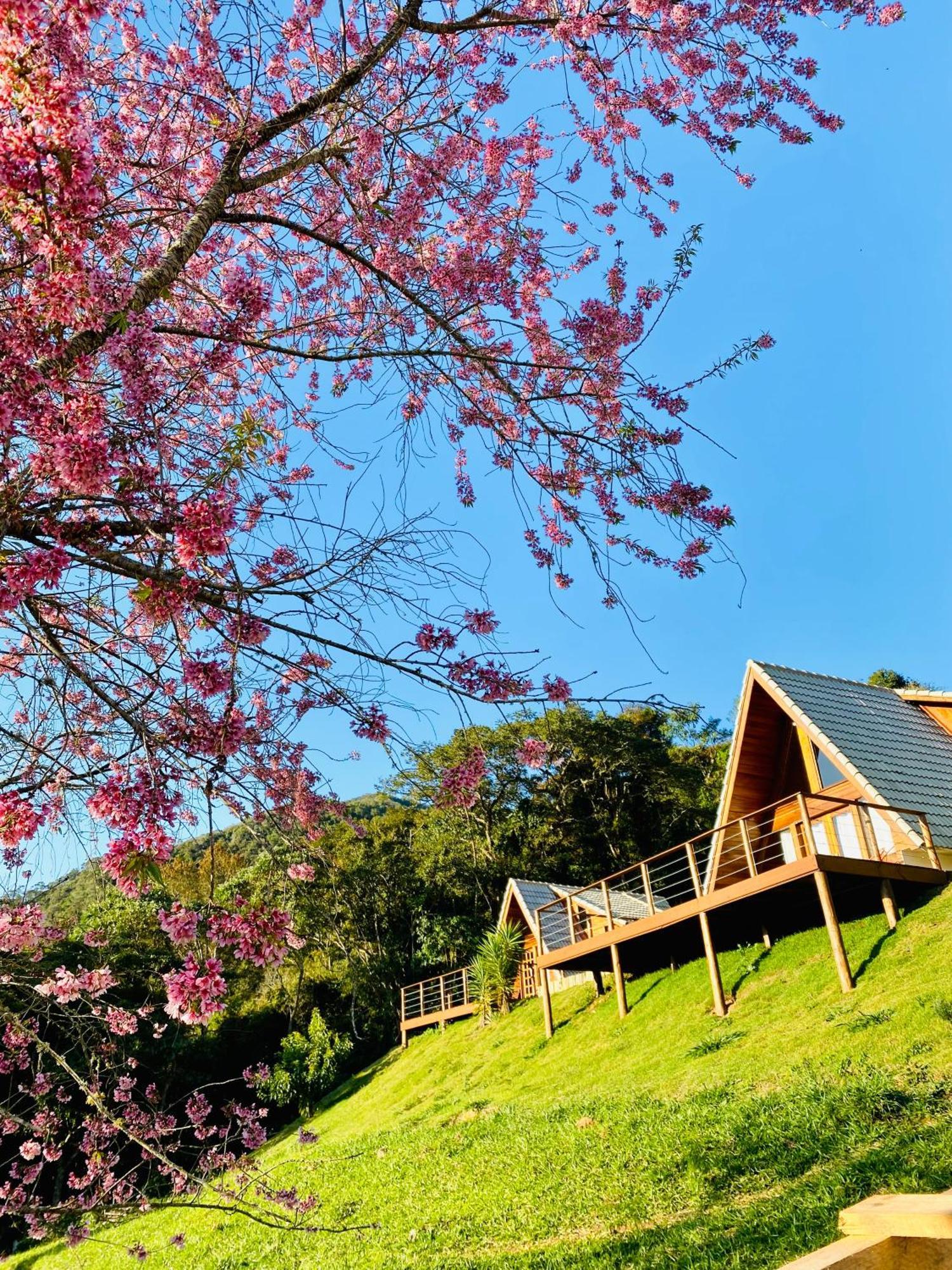 Chales Fazenda Floresta Das Araucarias Cunha Exteriér fotografie